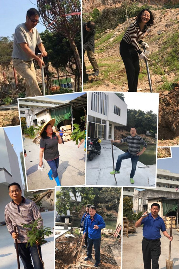 植樹(shù)2_副本.jpg 植樹(shù)2_副本.jpg