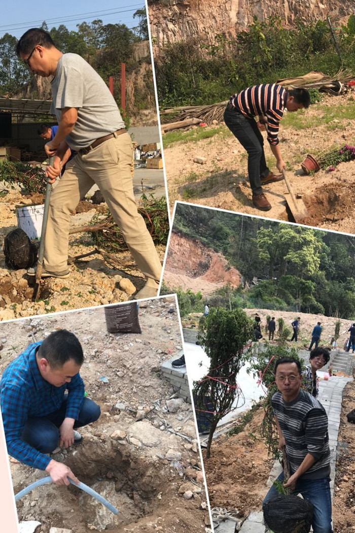 植樹(shù)5_副本.jpg 植樹(shù)5_副本.jpg