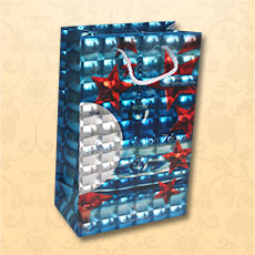 高檔手挽袋訂制 高檔手挽袋訂制